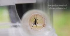 county executive declares national mosquito awareness week